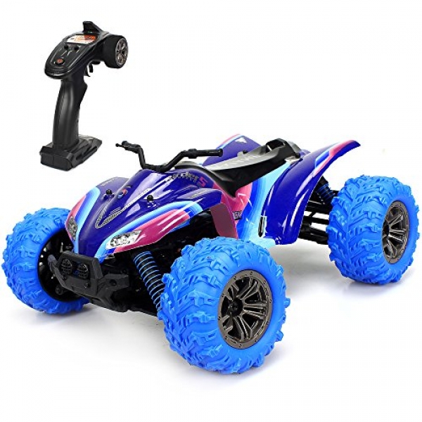 RC Autos 1/16 Scale 4wd Off Side road Some distance-off Adjust Car Electric RTR with High Trudge ATV of 36 killometer/h,